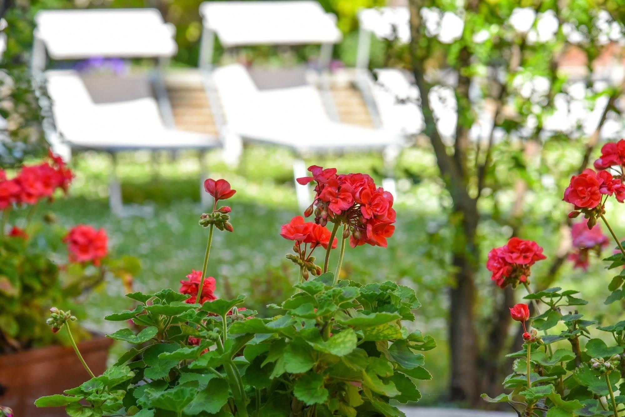 ראבנה Hotel Sant'Andrea מראה חיצוני תמונה